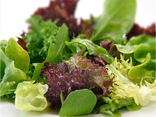 Mixed Salad Leaves